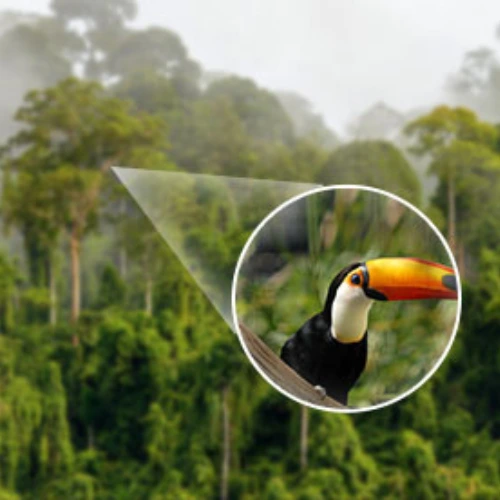 Bird watching with Space Scope